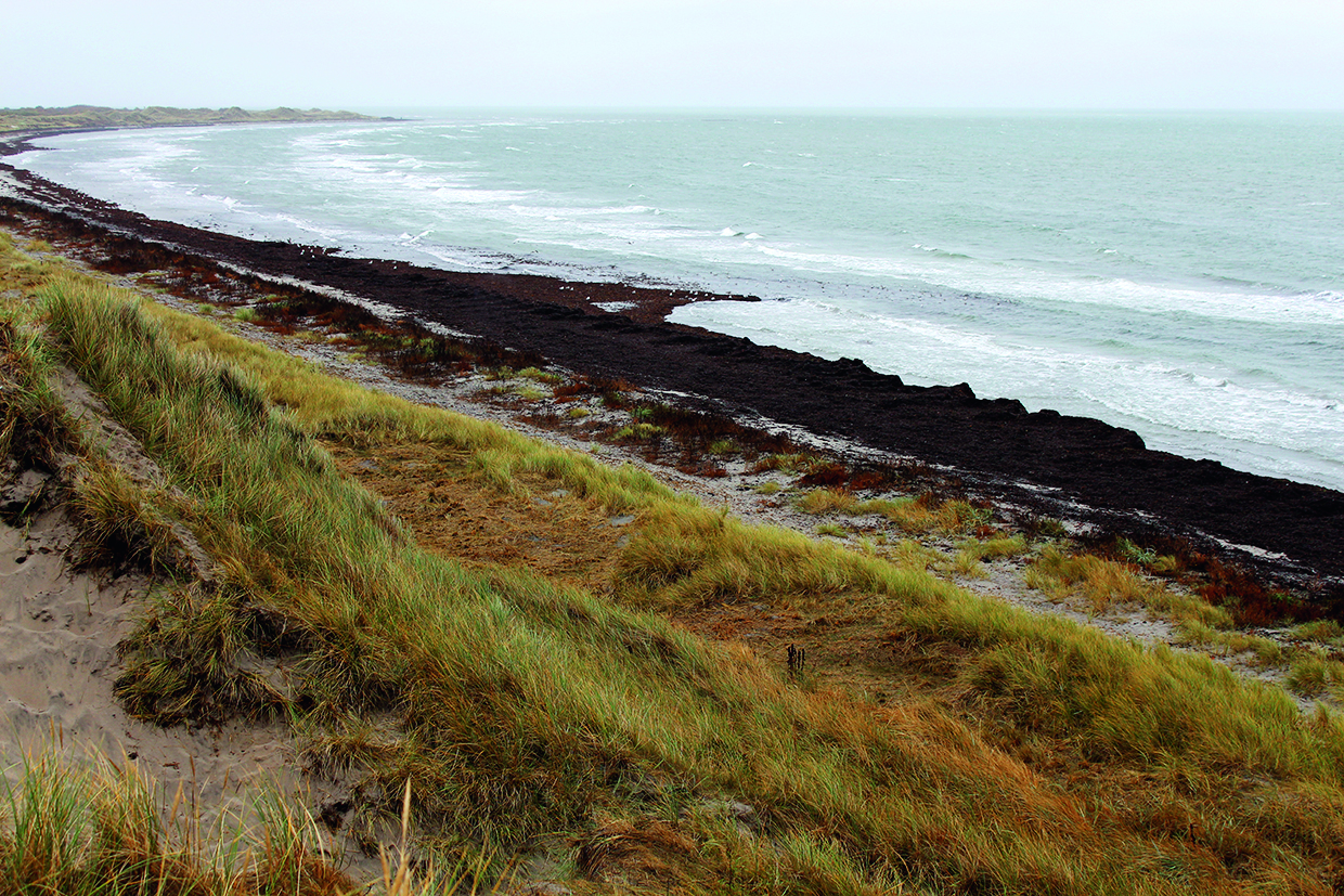 Figur A. 1. Eksempel på terrænkategori 0, Kystområde: Hav, kystområde udsat for åbent hav. Ruhedslængde z0 = 0,003 m. 