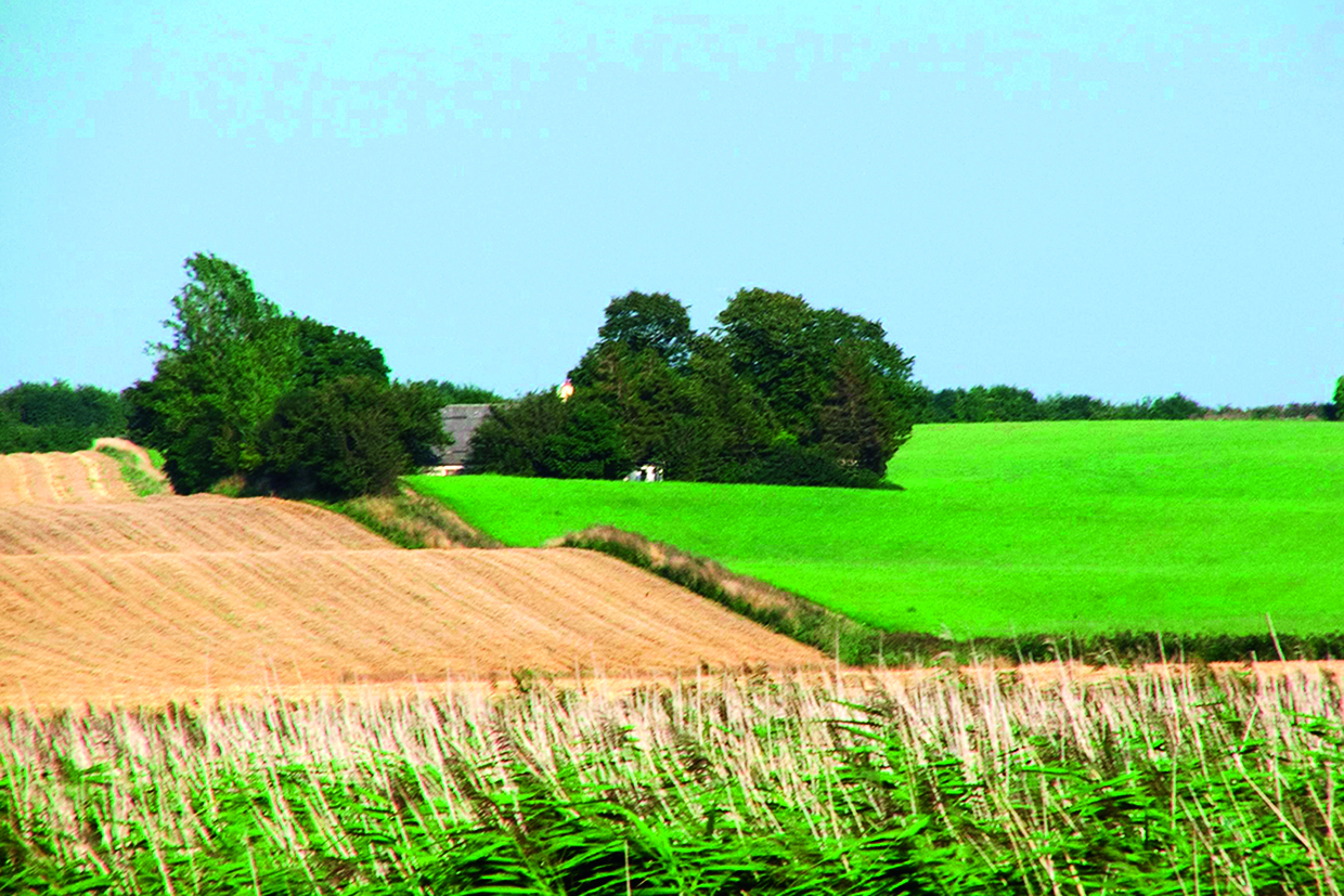 Figur A.3. Eksempler på terrænkategori II, Landbrugsland: Område med lav vegetation, fx græs og enkelte forhindringer (træer, bygninger) med en afstand på mindst 20 gange forhindringens højde. Ruhedslængde z0 = 0,05 m. 